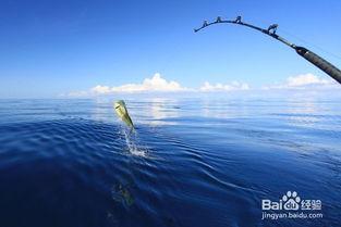 海钓线组视频,轻松掌握海钓技巧