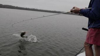 海杆抛杆视频,视频教学带你轻松掌握垂钓新技能