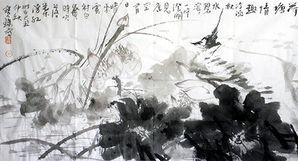 张宝珠视频,生活智慧与人生哲理