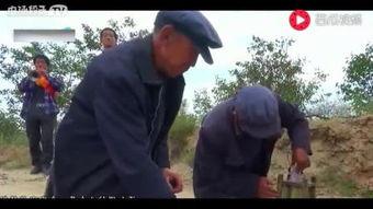 会宁最苦母亲视频,坚韧与母爱的伟大见证