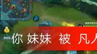 天门笑话视频,揭秘视频中的幽默瞬间