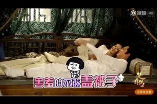 赵丽颖与导演睡视频,真相与争议