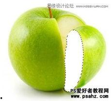 橘子视频苹果版,畅享短视频新体验，解锁娱乐新境界
