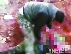 虐尸视频,虐尸视频背后的黑暗真相