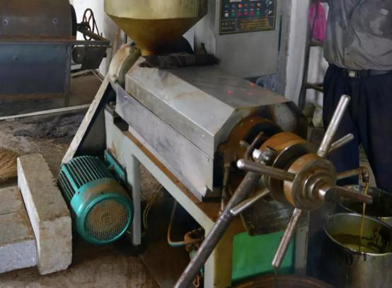 榨油视频,从原料到香浓油脂的华丽蜕变