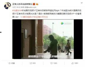 vip视频破解插件